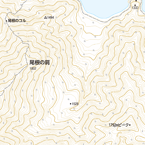 征露岳南武鑑 上 黒檜岳 (くろびだけ)：1,976m - 山と溪谷オンライン